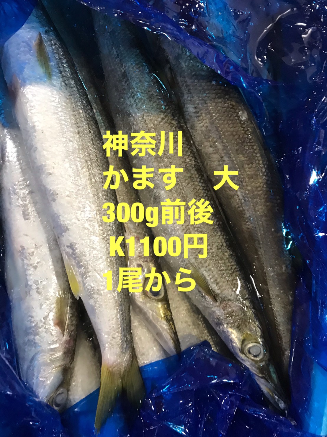 商品イメージ