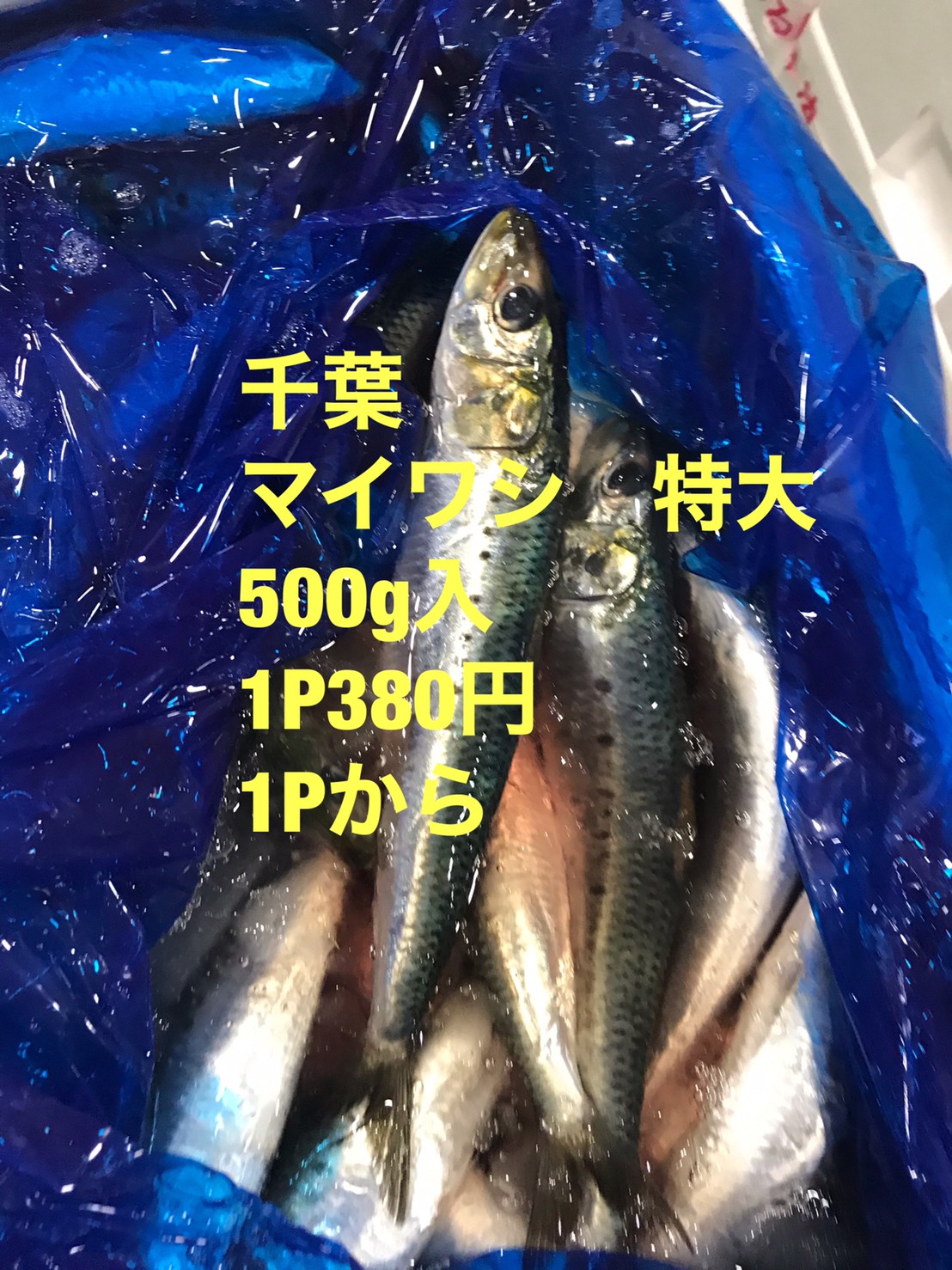 商品イメージ