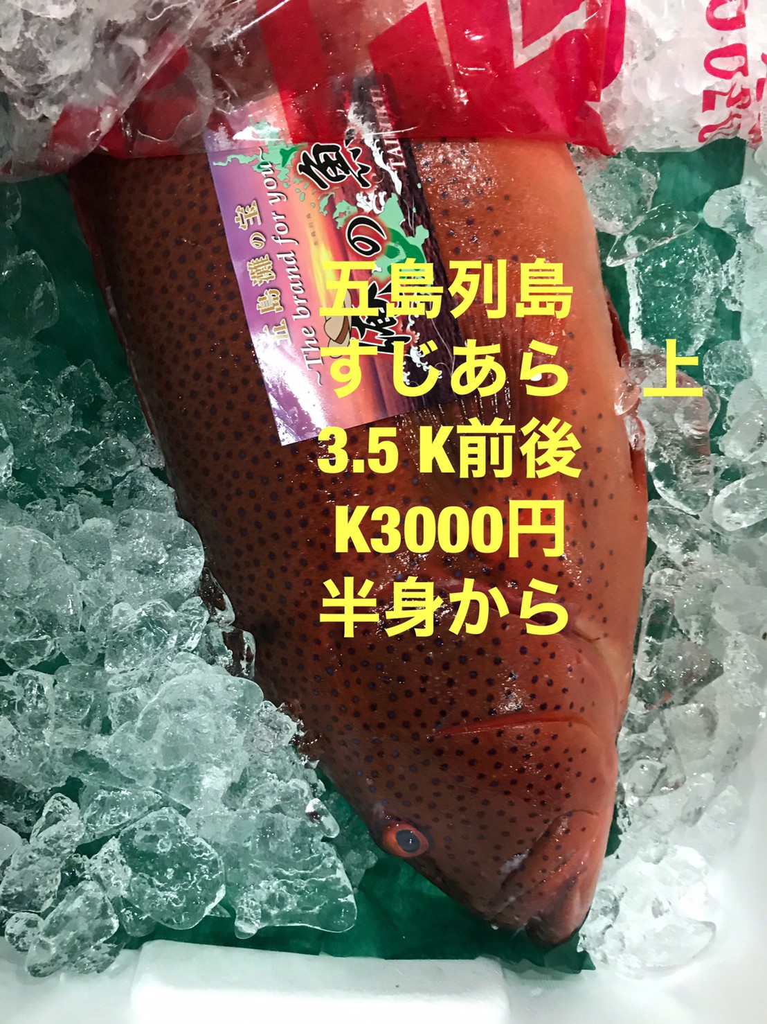 商品イメージ